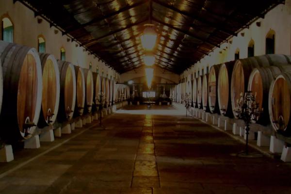 Domaine viticole r&eacute;gional de Colares